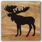 Woodland Animals Decor